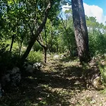 Casal Fontainhas- Country With Pool 度假居 阿尔科巴萨