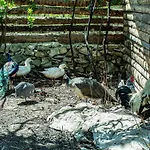 Casal Fontainhas- Country With Pool 度假居 阿尔科巴萨