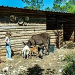 Casal Fontainhas- Country With Pool 度假居 阿尔科巴萨