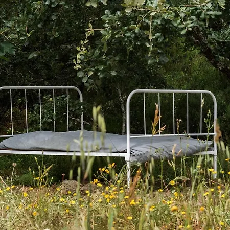 度假居 Casal Fontainhas- Country With Pool