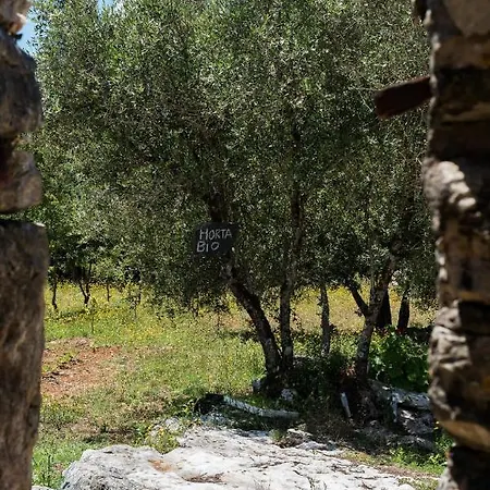 Casal Fontainhas- Country With Pool Alcobaça