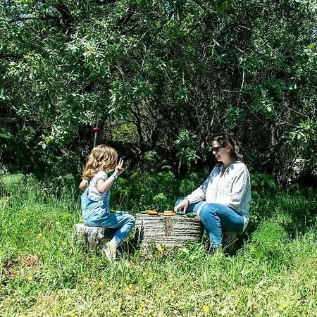 Casal Fontainhas- Country With Pool 度假居