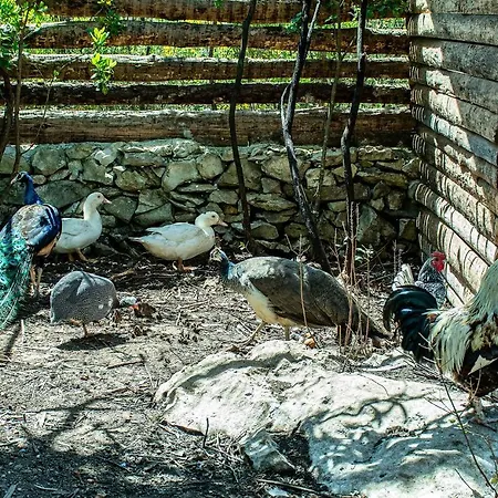 Casal Fontainhas- Country With Pool Casa de Férias Alcobaça
