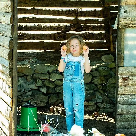 Casal Fontainhas- Country With Pool * Alcobaça