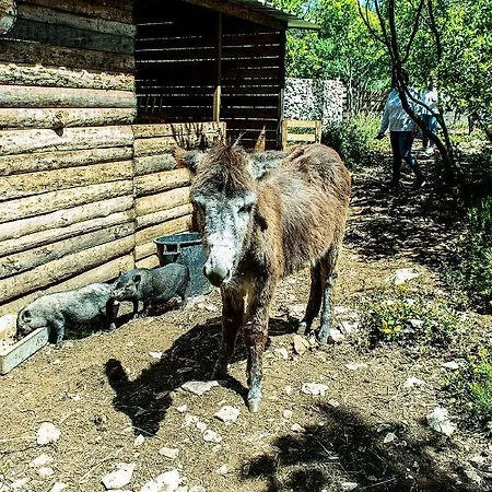 Дом отдыха Casal Fontainhas Алкобаса