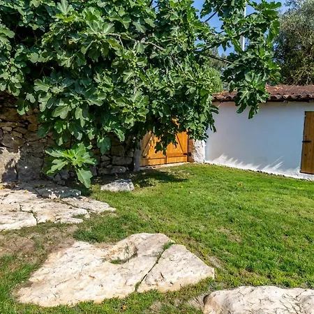 Casal Fontainhas- Country With Pool 度假居